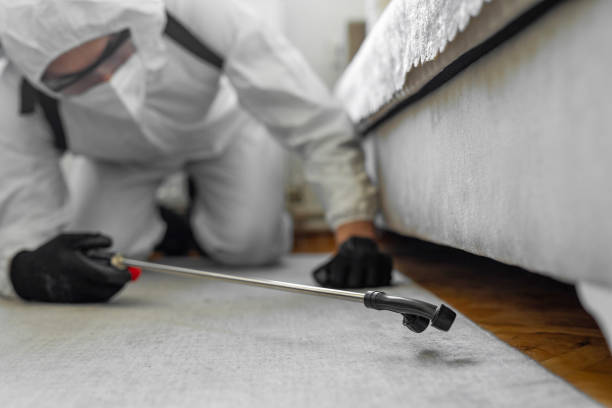 Professional Termite Control technician working in Lamar, TX