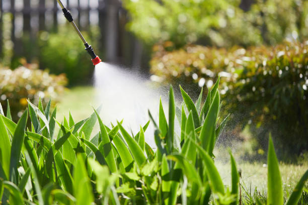 24/7 Emergency Termite Control experts in Lamar, TX